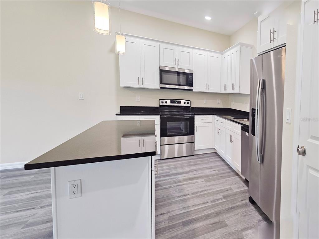 A kitchen features white cabinets, black countertops, stainless steel appliances, and gray wood-look flooring — 4371 CAMBIO GARDENS COURT, TAMPA, FL