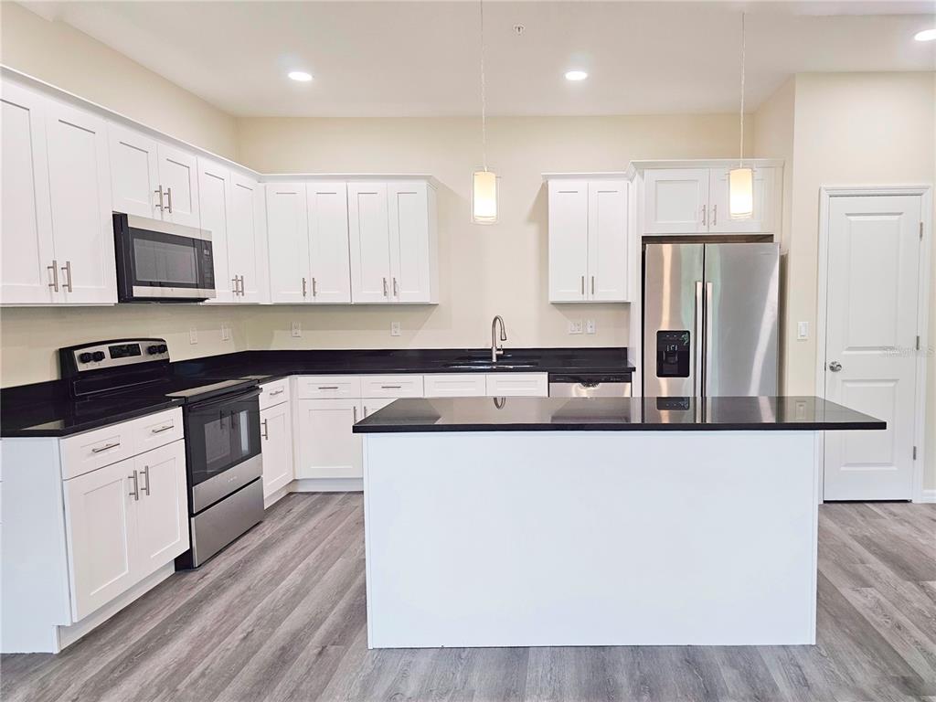 A kitchen featuring white cabinets, black countertops, stainless steel appliances, and gray wood-look flooring — 4371 CAMBIO GARDENS COURT, TAMPA, FL
