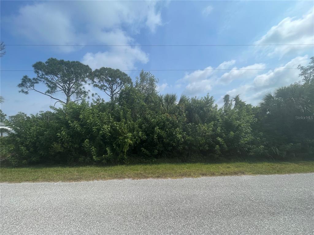 A view of a vacant, heavily wooded lot from an adjacent paved road — 9366 LOYOLA AVENUE, ENGLEWOOD, FL