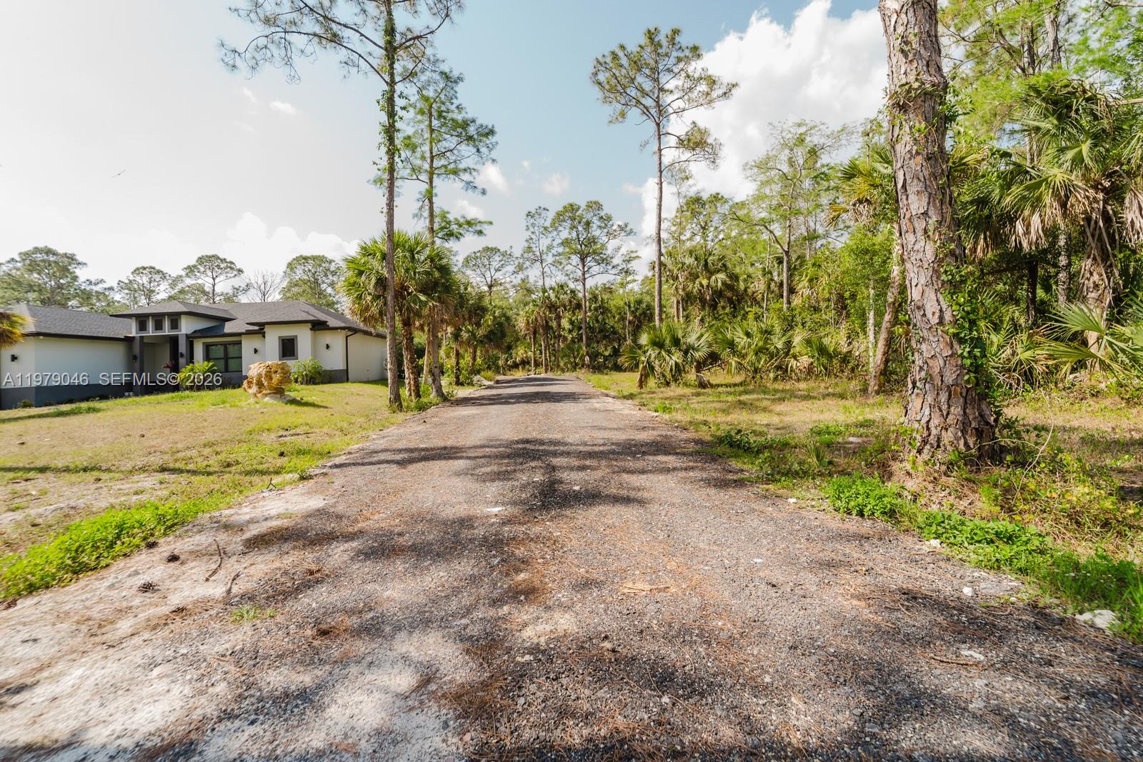 A gravel driveway leads toward a modern house surrounded by trees and palm vegetation — 398 35th Ave NW, Naples FL 34120, NAPLES, FL