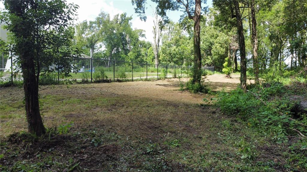 A grassy, partially shaded backyard features a chain-link fence bordering a wooded area — SKYLINE DRIVE, DADE CITY, FL