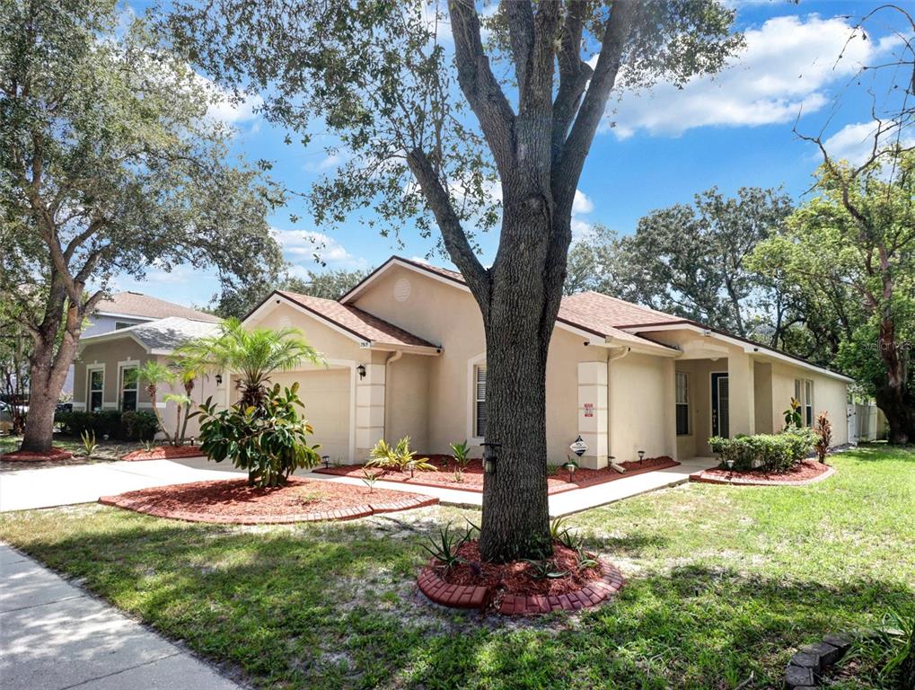 A single-story tan house with a two-car garage and mature trees in the front yard — 7515 TERRACE RIVER DRIVE, TEMPLE TERRACE, FL