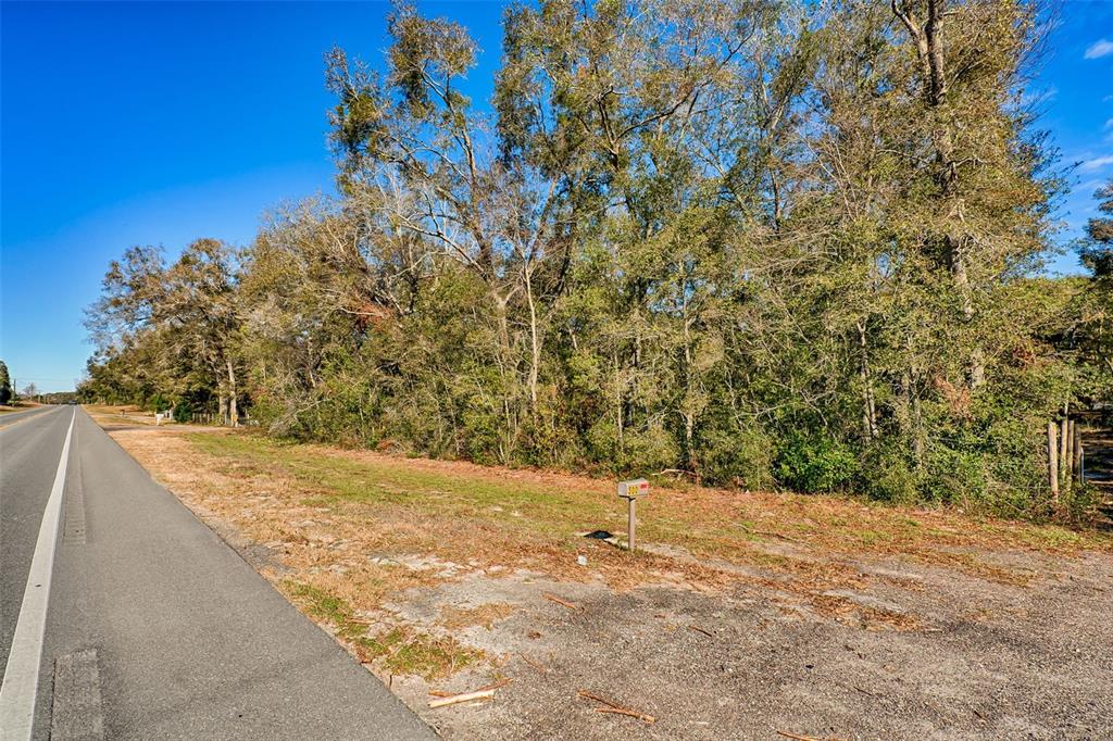 A paved road runs alongside a grassy lot bordered by a dense line of trees — S US HWY 129, BELL, FL