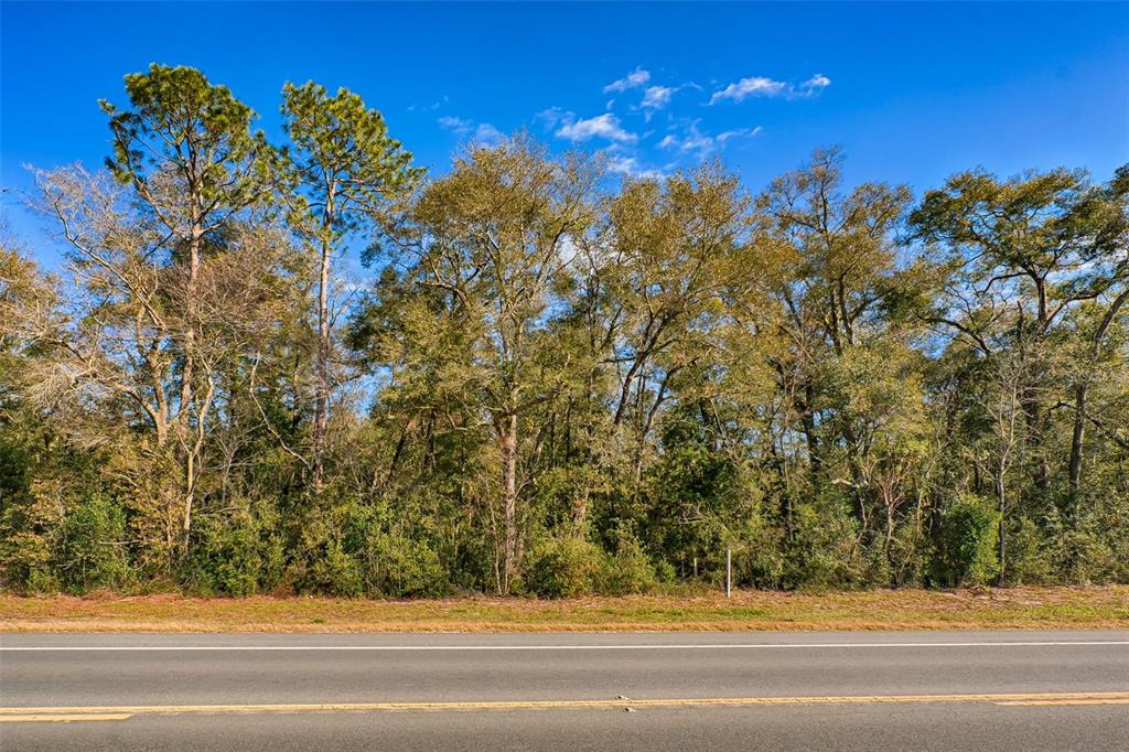 A paved road runs in front of a dense line of trees under a blue sky — S US HWY 129, BELL, FL