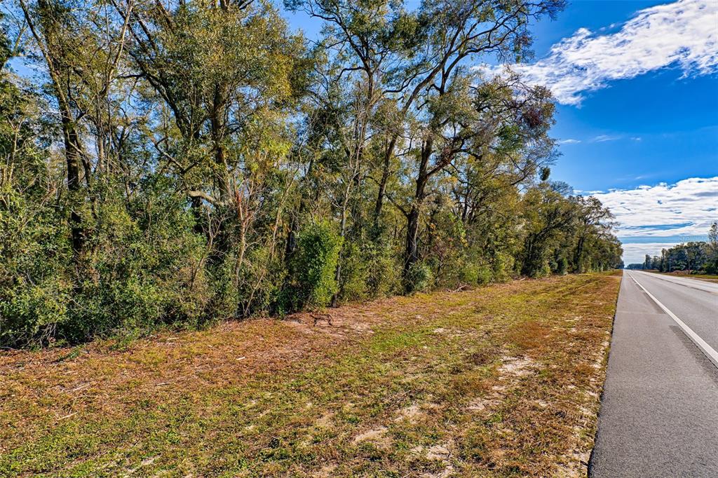 A paved road runs alongside a grassy area bordering a dense line of trees — S US HWY 129, BELL, FL