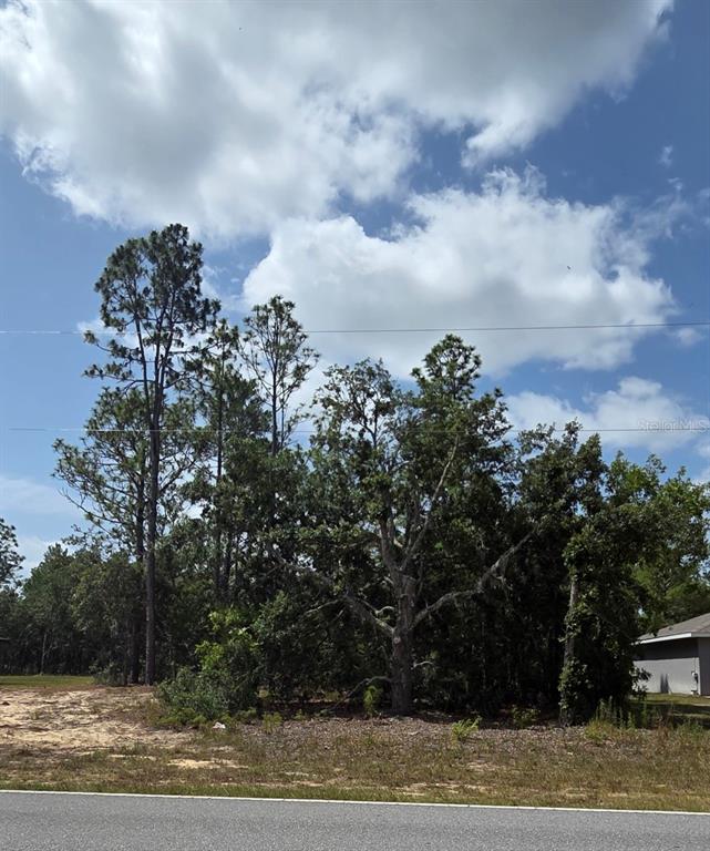 A vacant, wooded lot sits beside a paved road under a cloudy blue sky — 1816 W HAMPSHIRE BOULEVARD, CITRUS SPRINGS, FL