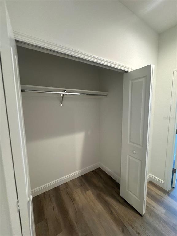 A closet with a white shelf, a metal hanging rod, and wood-look flooring — 519 ELLIE COURT, APOPKA, FL