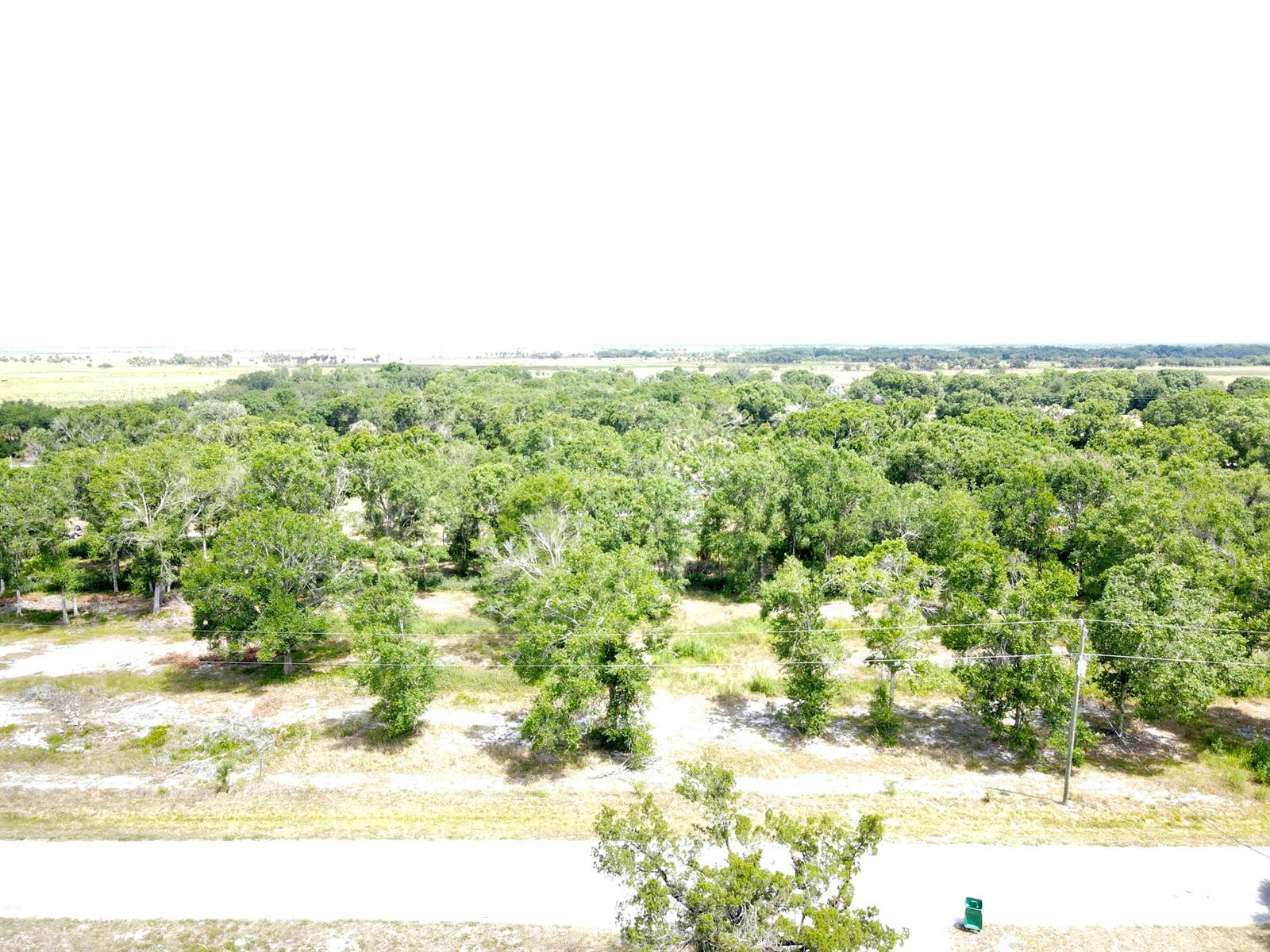 An aerial view shows a paved road in the foreground leading to a wooded lot — 7877 NW 93rd Court, Okeechobee FL 34972, OKEECHOBEE, FL