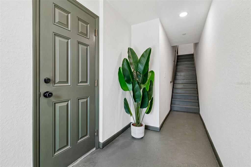 An entryway features a green door, a potted plant, and stairs leading to an upper level — 504 WHEATON TRENT PLACE, TAMPA, FL