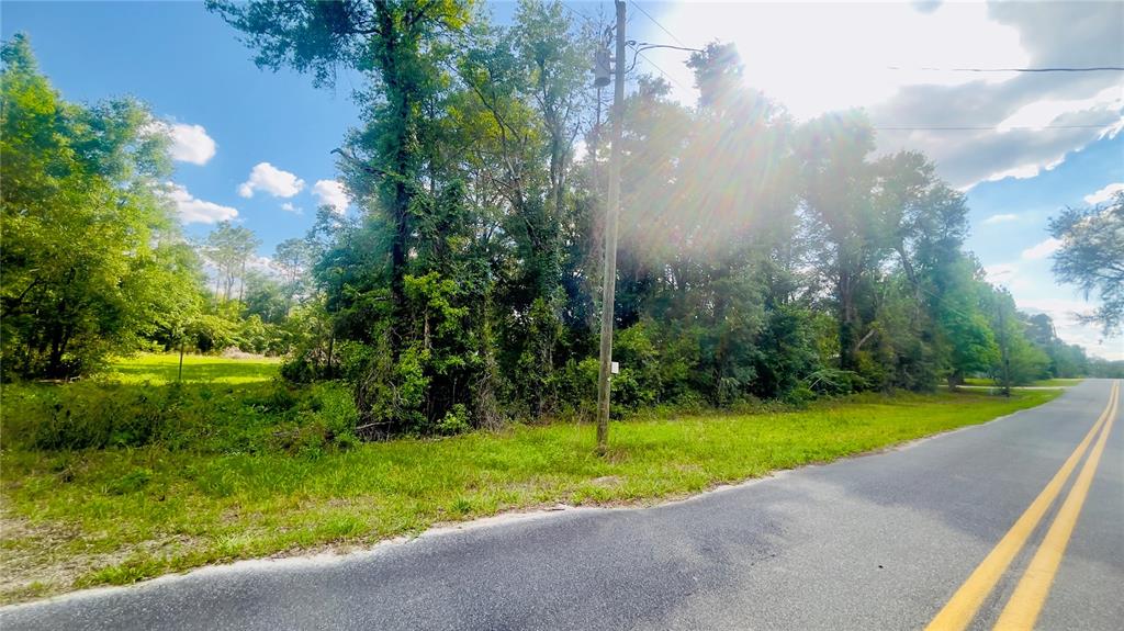 A paved road runs alongside a grassy lot filled with dense trees and vegetation — Lot 1 NE 66TH LN, BRONSON, FL