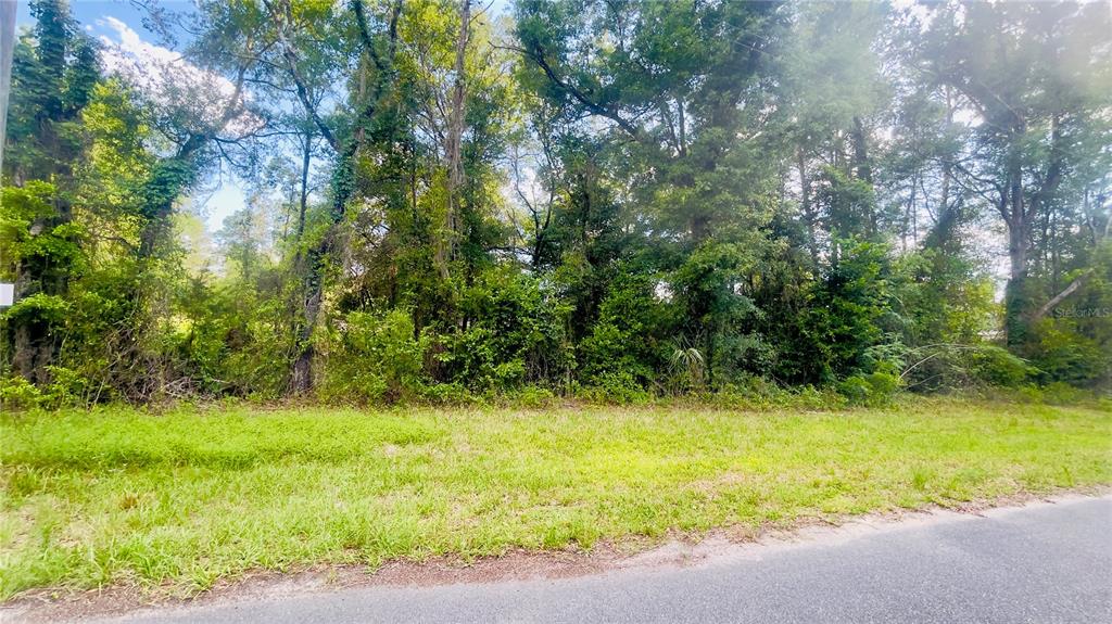 A grassy, undeveloped lot is bordered by a dense line of mature trees and vegetation — Lot 1 NE 66TH LN, BRONSON, FL