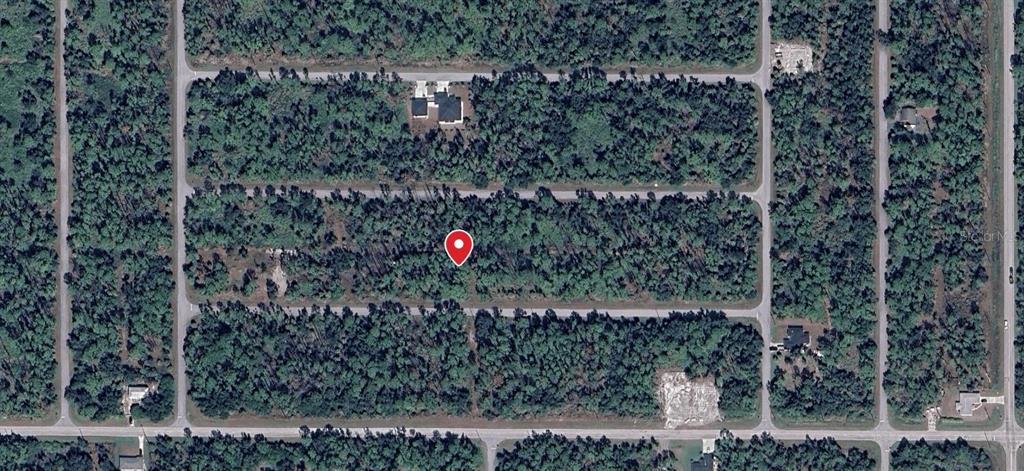 This is an aerial map view of a wooded residential lot marked with a pin — 13124 WOOLARD AVENUE, PORT CHARLOTTE, FL