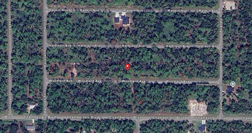 This is an aerial map view of a wooded residential area with marked streets — 13124 WOOLARD AVENUE, PORT CHARLOTTE, FL