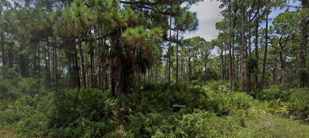 A wooded lot filled with pine trees, palmettos, and dense undergrowth under a cloudy sky — 13124 WOOLARD AVENUE, PORT CHARLOTTE, FL