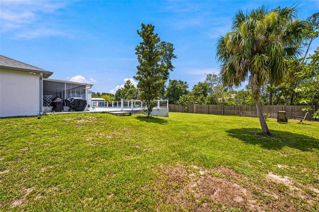 A backyard features a grassy lawn, a palm tree, a wooden fence, and a pool — 4190 SW 110TH LANE, OCALA, FL