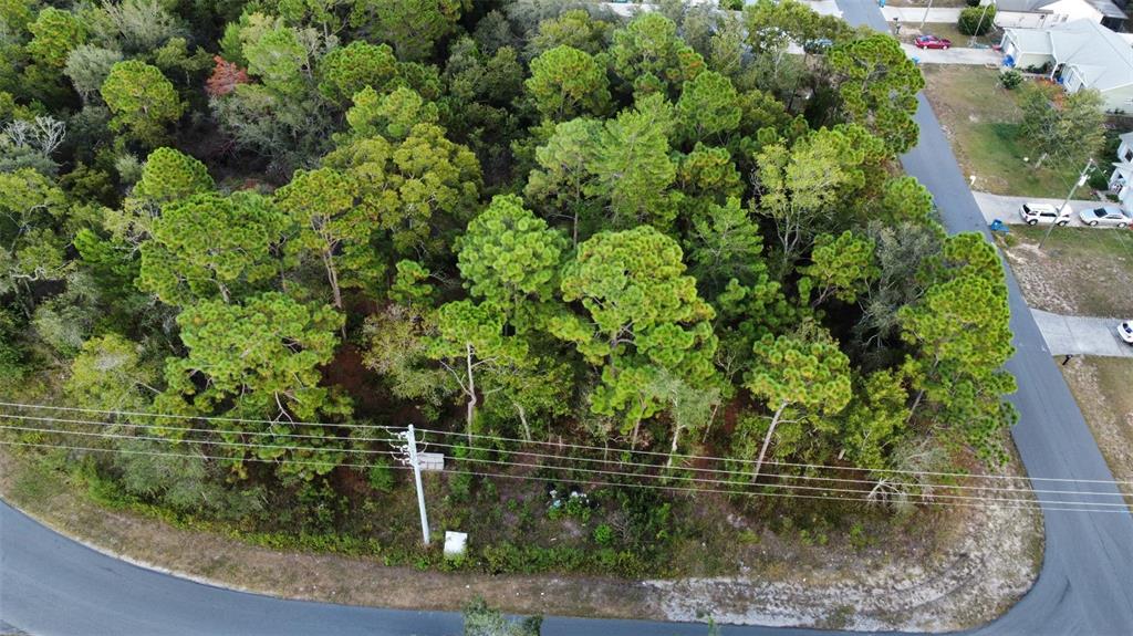 3300 ALCAN AVENUE, SPRING HILL, FL — photo 2 of 7