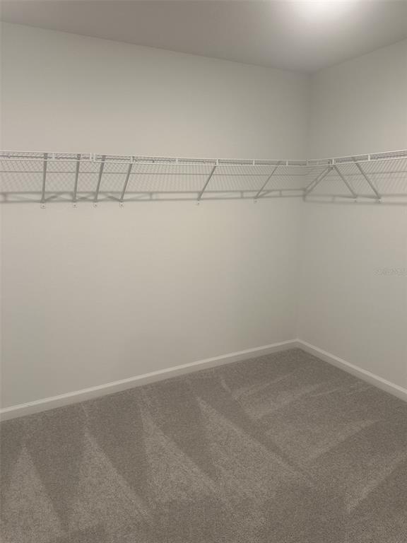 A walk-in closet with white wire shelving and gray carpeted flooring — 13110 SW 89 STREET, OCALA, FL