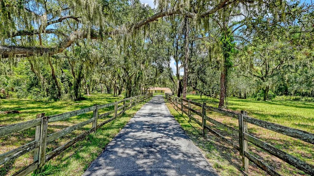 A paved driveway lined with wooden fences leads toward a house shaded by mossy trees — 6455 MCKOWN ROAD, SARASOTA, FL