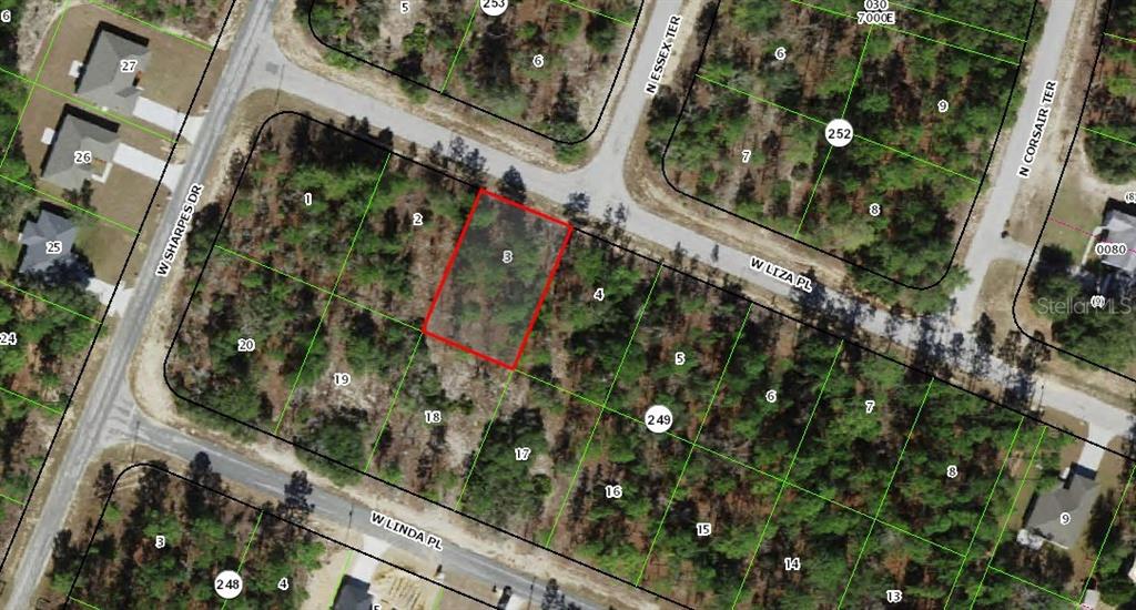 This is an aerial map showing a vacant, rectangular lot outlined in red — 3000 W LIZA PLACE, DUNNELLON, FL