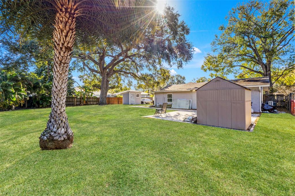 A grassy backyard features a palm tree, a patio, and two storage sheds — 1747 26TH AVENUE N, ST PETERSBURG, FL