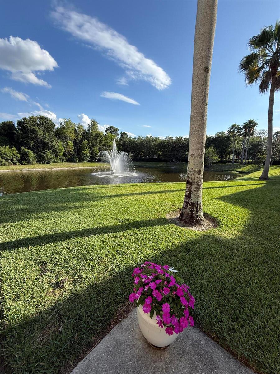 A fountain sits in a pond surrounded by a grassy lawn and palm trees — 1560 SE Hampshire Way # 204, Stuart FL 34994, STUART, FL
