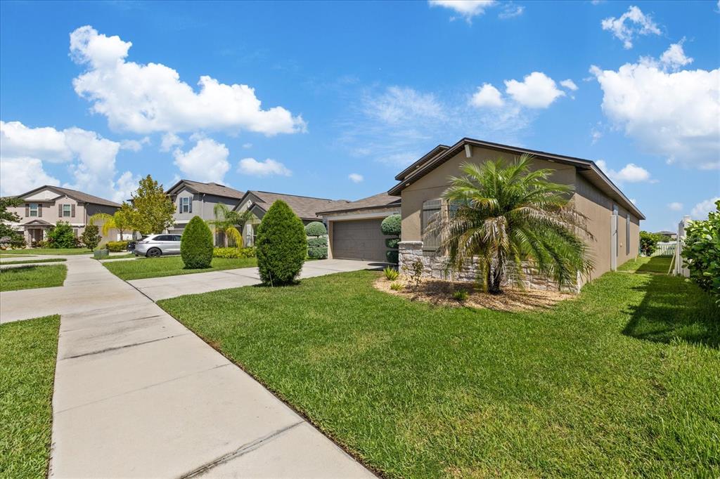 A single-story suburban house with a stone facade, palm tree, and concrete driveway — 11803 BLACKEYED SUSAN DRIVE, RIVERVIEW, FL