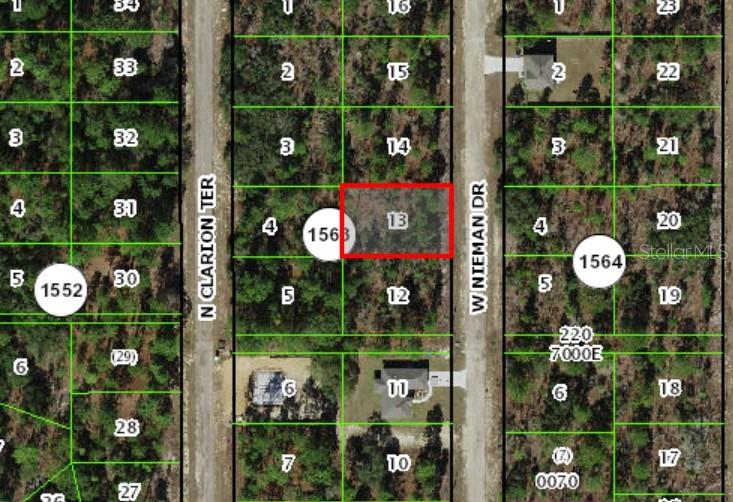 This is a satellite map showing a vacant lot highlighted in red within a residential subdivision — 3562 W NIEMAN DRIVE, DUNNELLON, FL