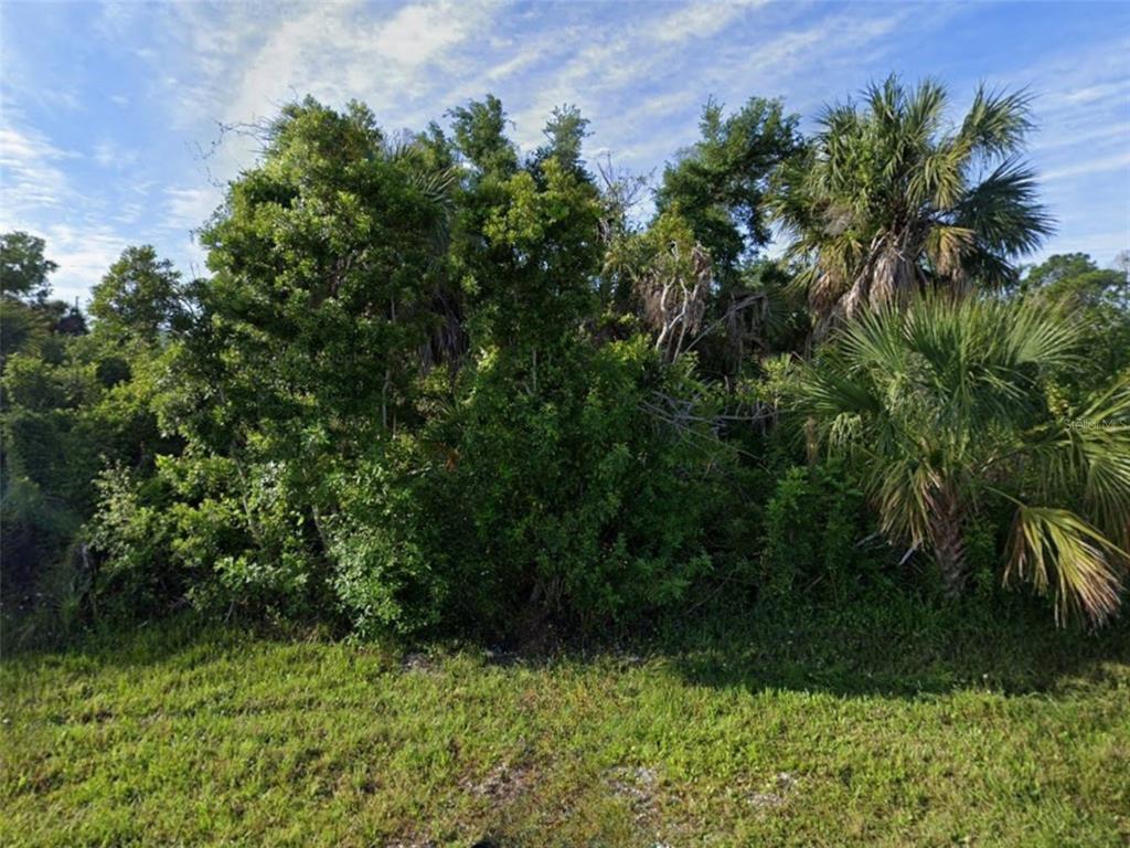 A dense thicket of trees and palm trees grows on a grassy, undeveloped lot — 10185 ATLANTIC AVENUE, ENGLEWOOD, FL