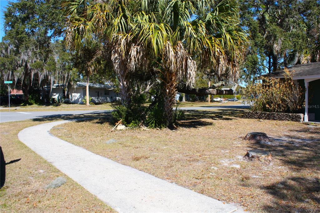 A sidewalk leads through a yard with palm trees and tree stumps toward a house — 2071 CANAL ROAD, DELTONA, FL