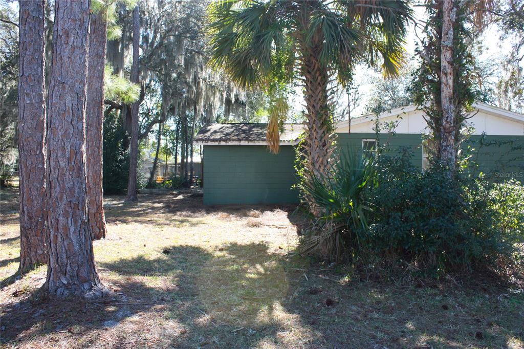 A green-painted exterior wall of a house sits near a palm tree and pine trees — 2071 CANAL ROAD, DELTONA, FL