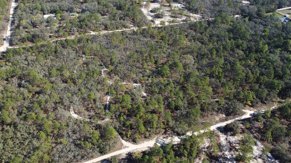 An aerial view shows a wooded lot with dirt paths and surrounding forest — 4771 W HERMAN COURT, HOMOSASSA, FL