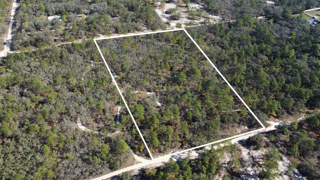 An aerial view shows a rectangular plot of land outlined in white amidst wooded terrain — 4771 W HERMAN COURT, HOMOSASSA, FL