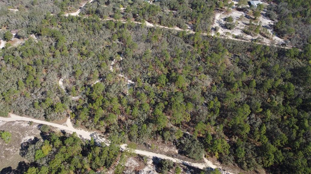 An aerial view of a wooded, undeveloped plot of land with dirt roads — 4771 W HERMAN COURT, HOMOSASSA, FL