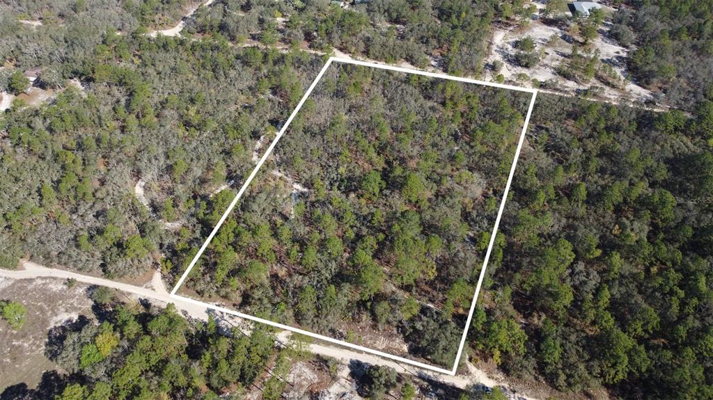 An aerial view shows a rectangular, wooded plot of land outlined in white — 4771 W HERMAN COURT, HOMOSASSA, FL