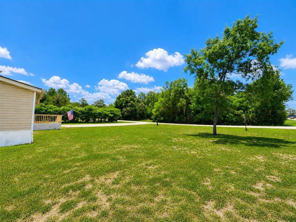 A grassy yard with a tree and a house corner with a deck and flag — 13817 NE 54TH PLACE, WILLISTON, FL