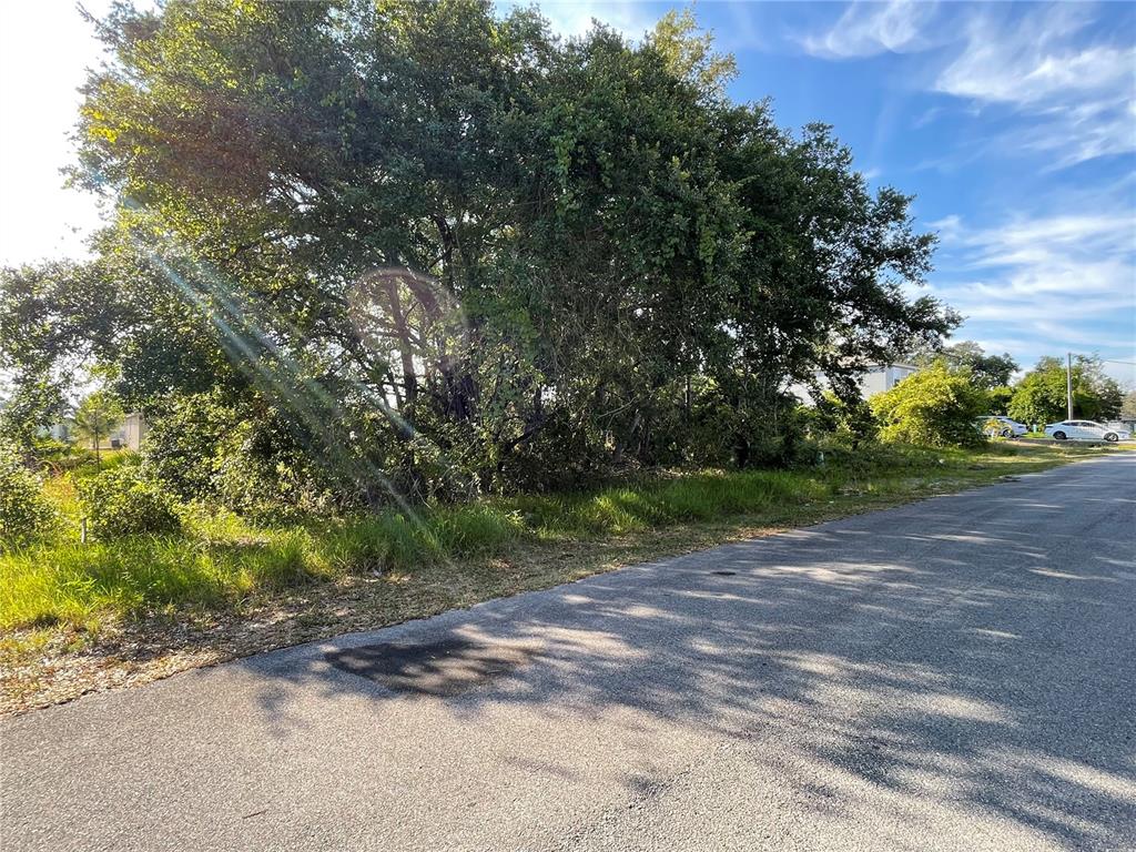 A paved road runs alongside a vacant lot featuring dense trees and overgrown grass — 1613 TENCH COURT, POINCIANA, FL