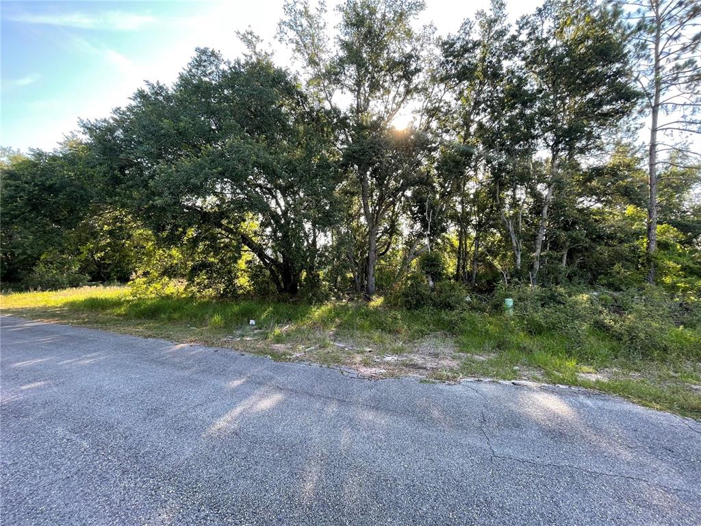 A paved road runs along the front of a wooded lot with mature trees — 1613 TENCH COURT, POINCIANA, FL