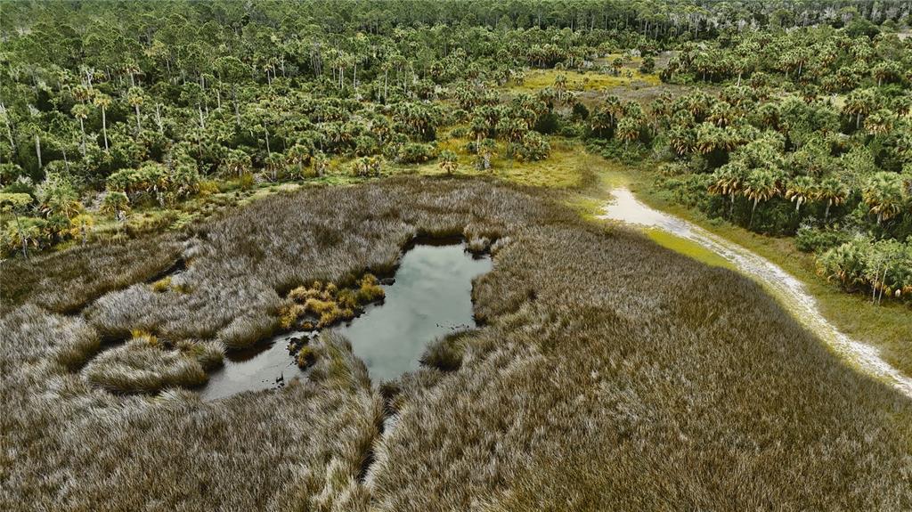 An aerial view shows a pond surrounded by tall marsh grass and a wooded area — 00 LOTS 18,19 ADAMS BEACH ROAD, PERRY, FL