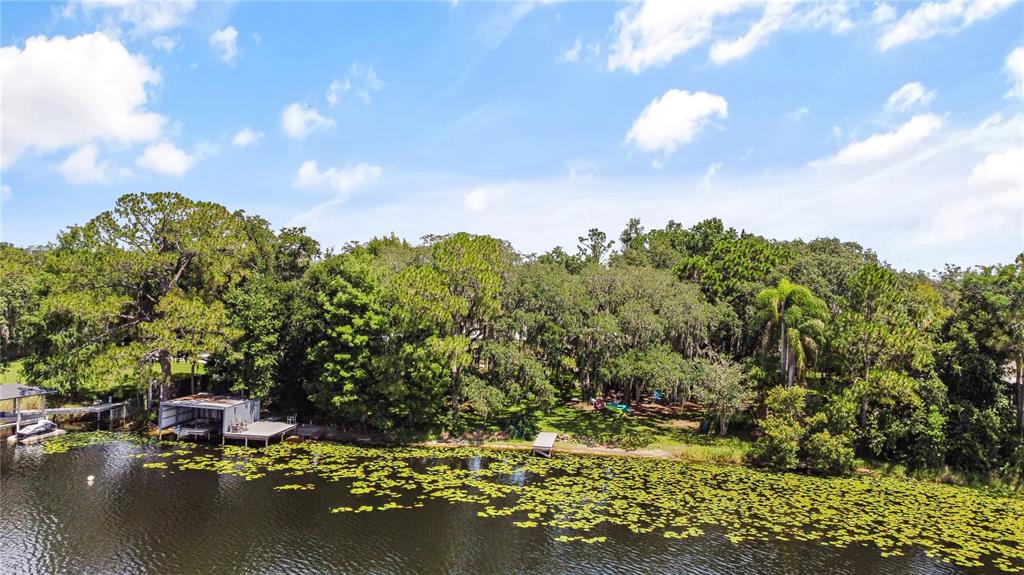 An aerial view shows a boat dock on a lakefront property surrounded by dense trees — 5701 CROSS FOX LANE, OVIEDO, FL