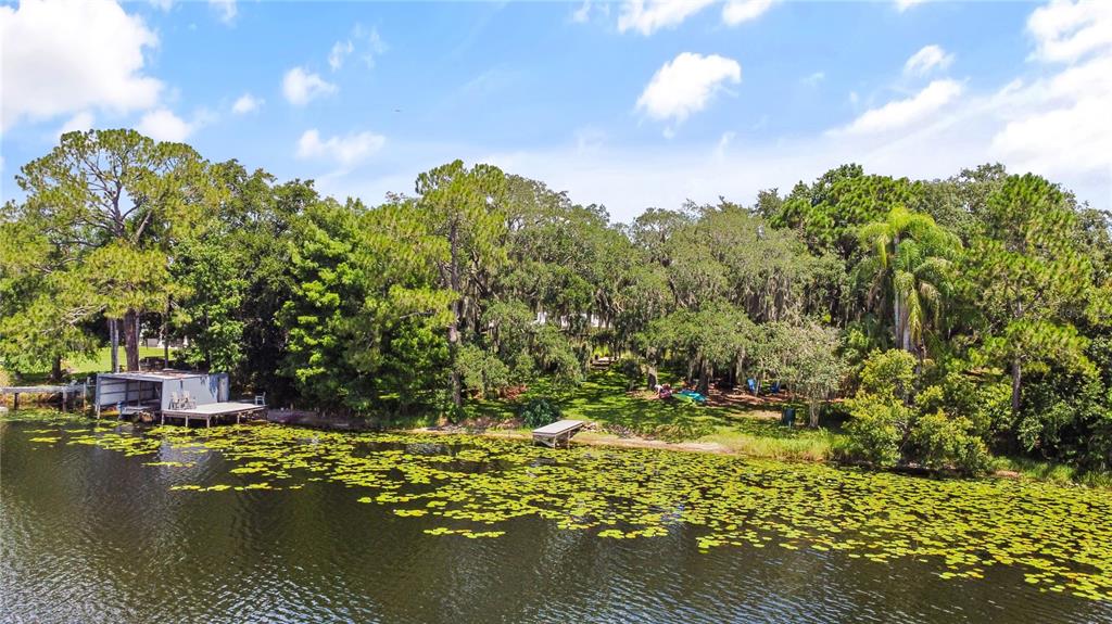 An aerial view of a grassy lakeshore with a boat dock and dense surrounding trees — 5701 CROSS FOX LANE, OVIEDO, FL
