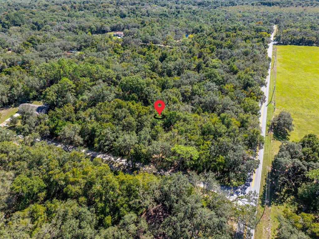 An aerial view shows a red map pin marking a wooded lot beside a road — 11420 E STEAMBOAT DRIVE, FLORAL CITY, FL