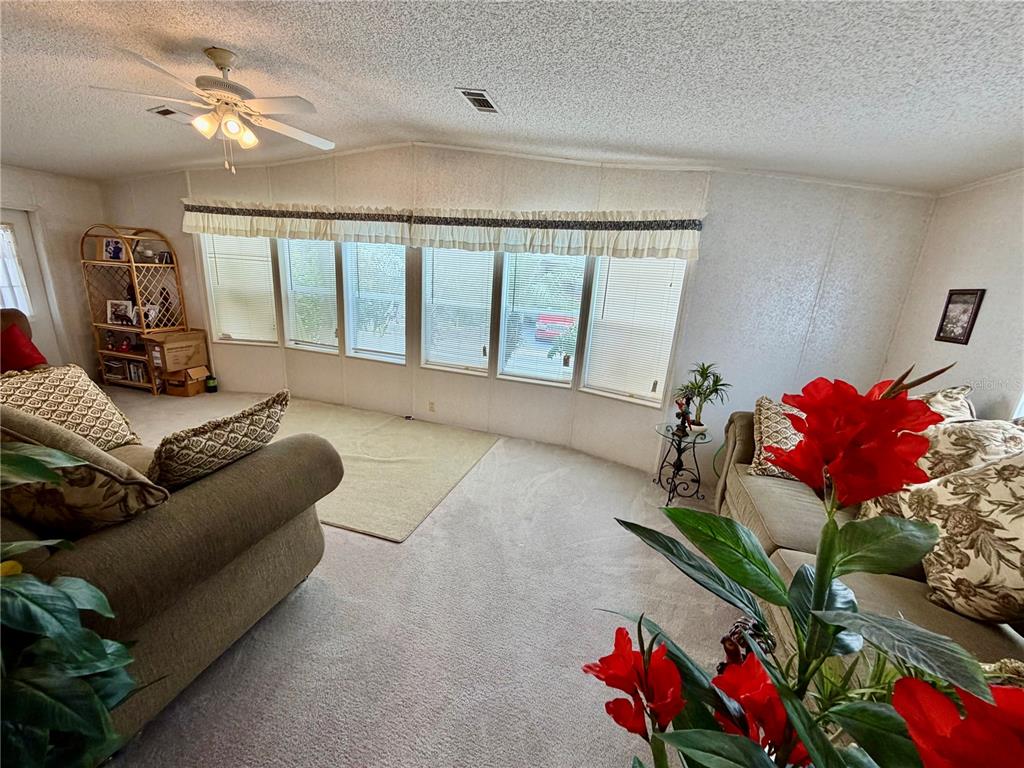 A living room features beige carpet, a ceiling fan, and a wall of windows — 34066 AVOCADO DRIVE N, PINELLAS PARK, FL