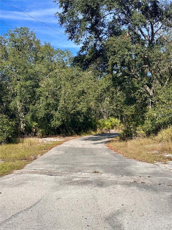 A paved driveway leads into a wooded area with dense trees and foliage — 4125 TIGER CREEK TRL, LAKE WALES, FL