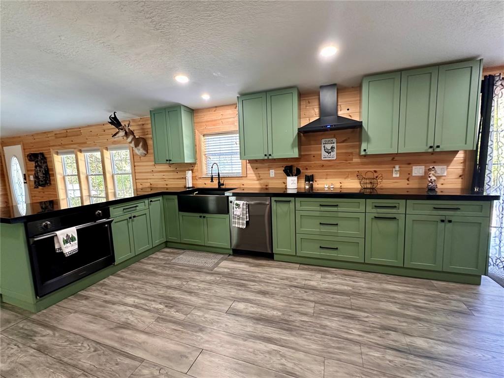 A kitchen features green cabinets, black countertops, stainless steel appliances, and wood-paneled walls — 4125 TIGER CREEK TRL, LAKE WALES, FL