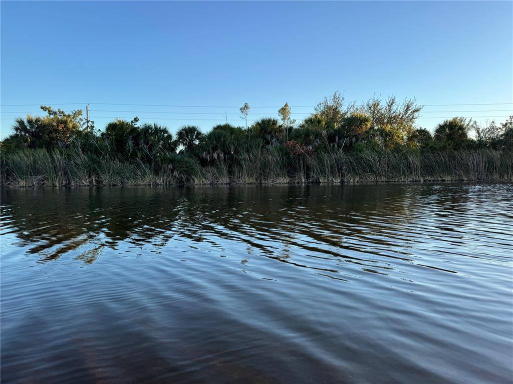 A view of a calm lake with a dense treeline and tall grasses along the shore — 15512 LAKELAND CIRCLE, PORT CHARLOTTE, FL