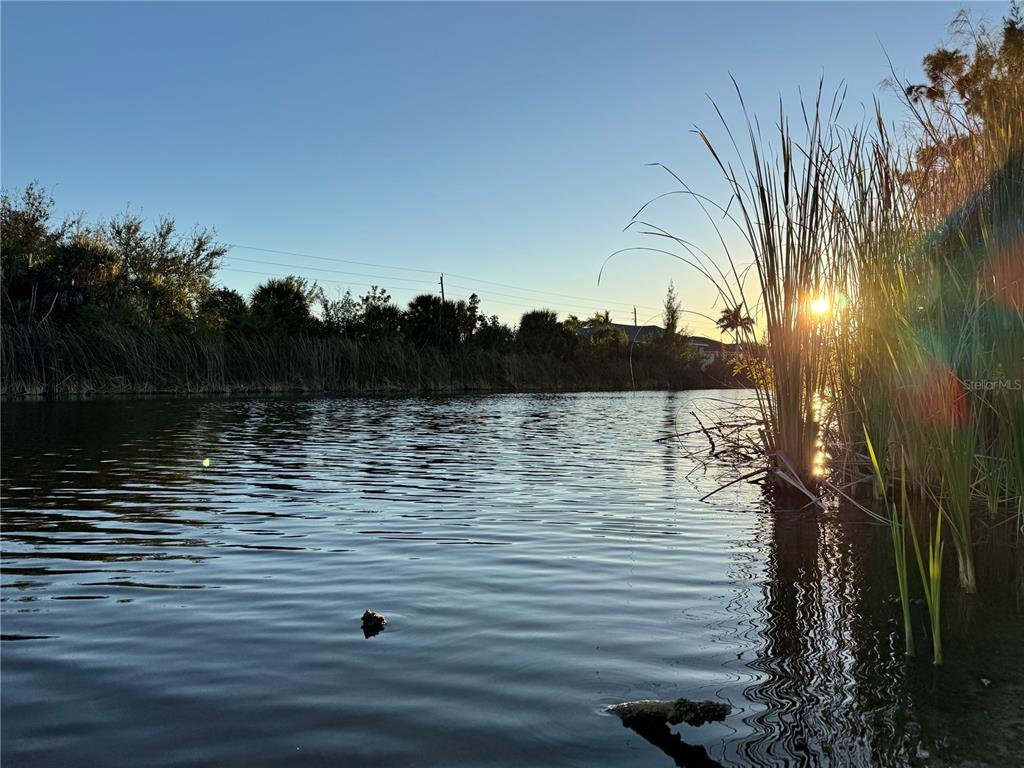 A view of a calm pond at sunset with tall reeds in the foreground — 15512 LAKELAND CIRCLE, PORT CHARLOTTE, FL