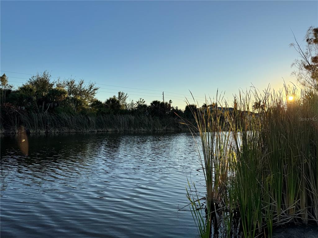 A view of a pond at sunset with tall grasses in the foreground — 15512 LAKELAND CIRCLE, PORT CHARLOTTE, FL