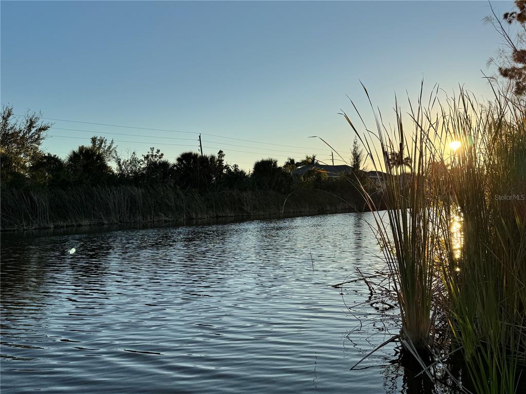 A view of a calm canal at sunset with tall reeds in the foreground — 15512 LAKELAND CIRCLE, PORT CHARLOTTE, FL