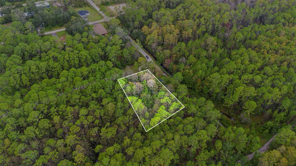 An aerial view shows a rectangular plot of land outlined in white within a forest — EAST PARKWAY, DELAND, FL