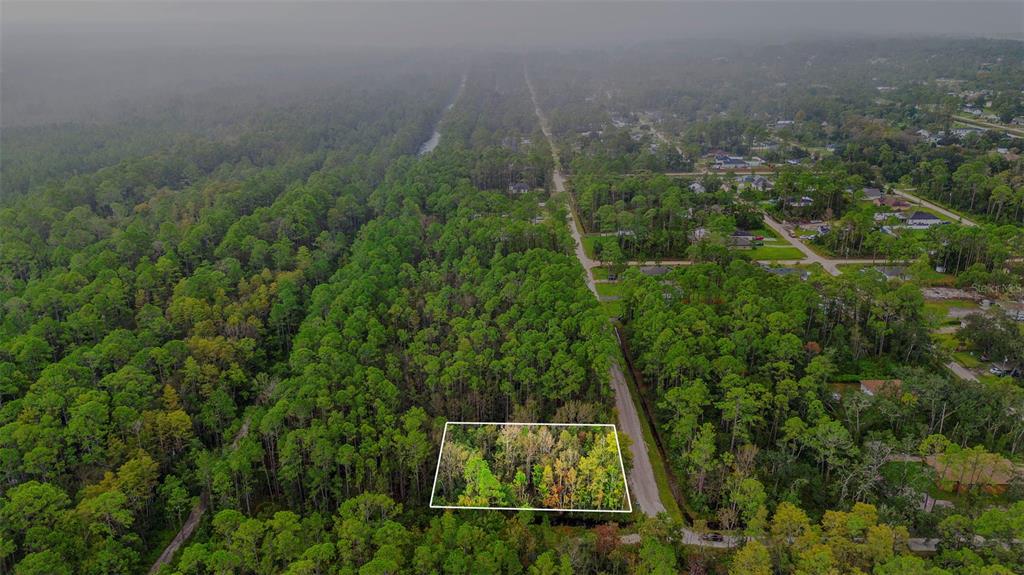 An aerial view shows a rectangular plot of land outlined in white within a forest — EAST PARKWAY, DELAND, FL